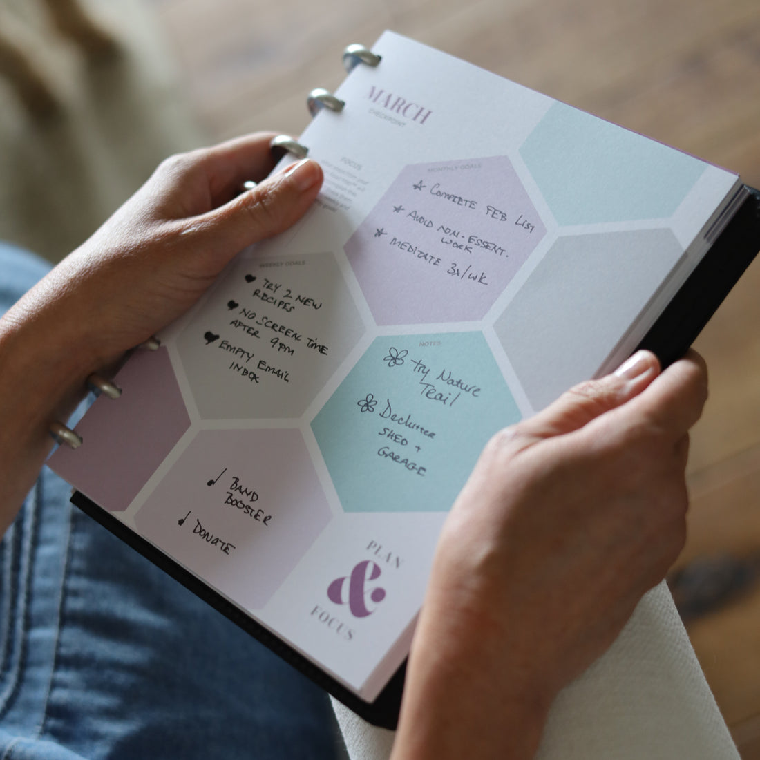 onyx black cover, goals insert, and silver disc are part of this bundle