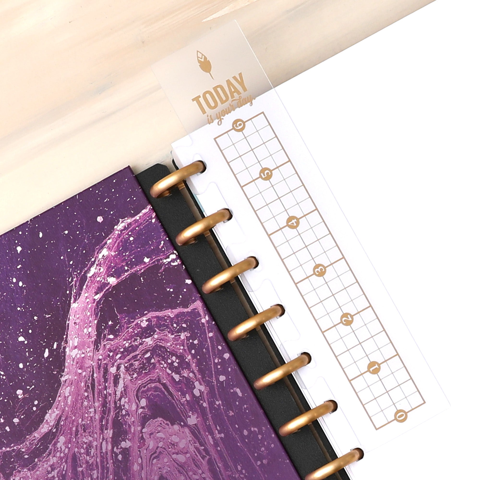 Flexible snap-on bookmark or page marker for your inkwell press planner with quote &quot;Today is your Day&quot;